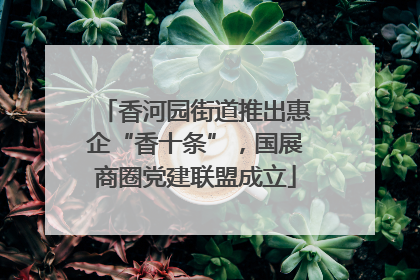 香河园街道推出惠企“香十条”，国展商圈党建联盟成立