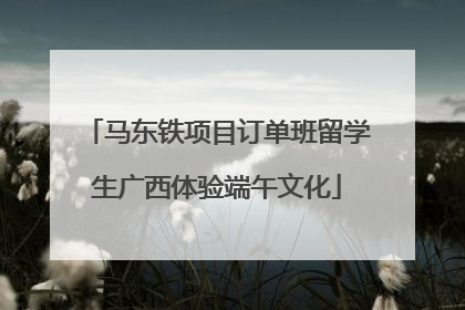 马东铁项目订单班留学生广西体验端午文化