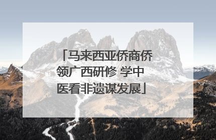 马来西亚侨商侨领广西研修 学中医看非遗谋发展