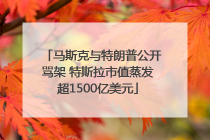 马斯克与特朗普公开骂架 特斯拉市值蒸发超1500亿美元