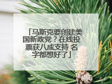 马斯克要创建美国新政党？在线投票获八成支持 名字都想好了