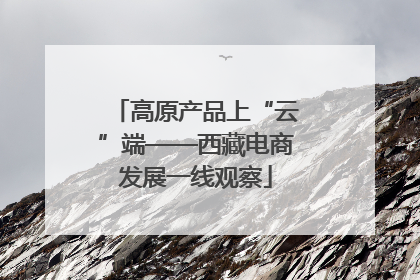 高原产品上“云”端——西藏电商发展一线观察