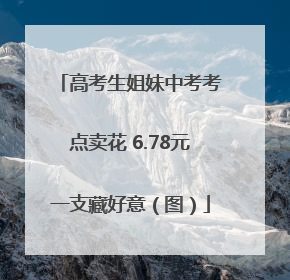 高考生姐妹中考考点卖花 6.78元一支藏好意（图）