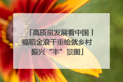 高质量发展看中国丨福稻金浪千重绘就乡村振兴“丰”景图
