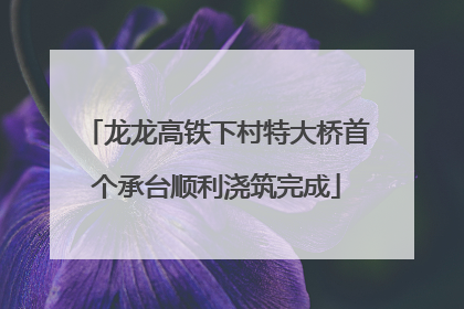 龙龙高铁下村特大桥首个承台顺利浇筑完成