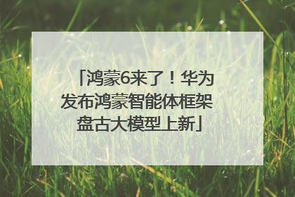 鸿蒙6来了！华为发布鸿蒙智能体框架 盘古大模型上新