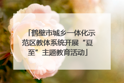鹤壁市城乡一体化示范区教体系统开展“夏至”主题教育活动