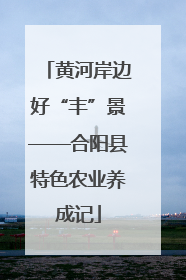黄河岸边好“丰”景——合阳县特色农业养成记