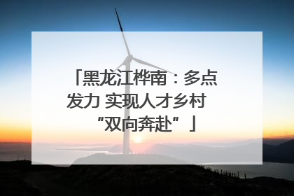 黑龙江桦南：多点发力 实现人才乡村“双向奔赴”