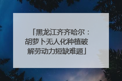 黑龙江齐齐哈尔：胡萝卜无人化种植破解劳动力短缺难题