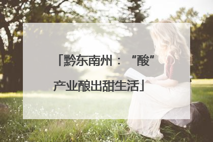 黔东南州：“酸”产业酿出甜生活