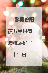 黟县碧阳镇五里村盛夏桃熟好“丰”景