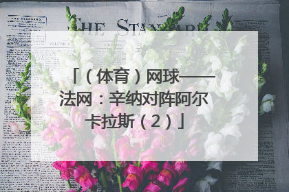 （体育）网球——法网：辛纳对阵阿尔卡拉斯（2）