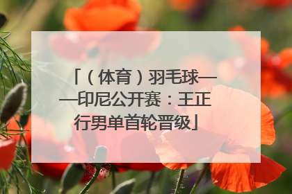 （体育）羽毛球——印尼公开赛：王正行男单首轮晋级
