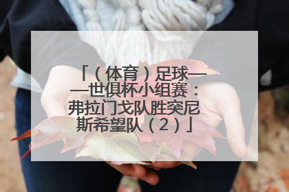 （体育）足球——世俱杯小组赛：弗拉门戈队胜突尼斯希望队（2）