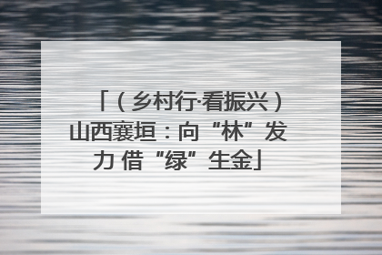 （乡村行·看振兴）山西襄垣：向“林”发力 借“绿”生金