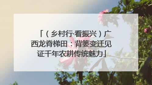 （乡村行·看振兴）广西龙脊梯田：背篓变迁见证千年农耕传统魅力