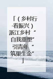 （乡村行·看振兴）浙江乡村“自我重塑” 引青年“筑巢生金”