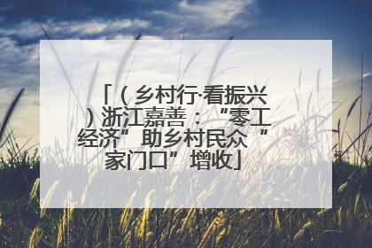 （乡村行·看振兴）浙江嘉善：“零工经济”助乡村民众“家门口”增收