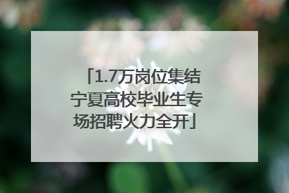 1.7万岗位集结 宁夏高校毕业生专场招聘火力全开