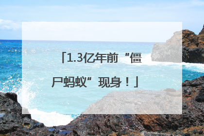1.3亿年前“僵尸蚂蚁”现身！