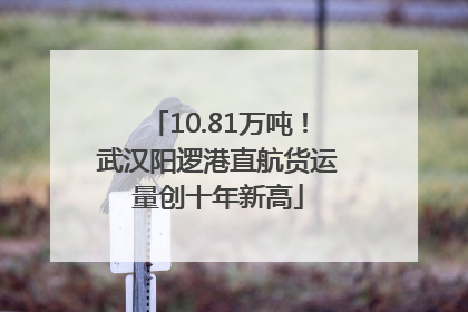 10.81万吨！武汉阳逻港直航货运量创十年新高