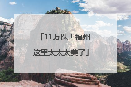 11万株！福州这里太太太美了
