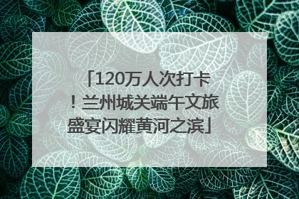 120万人次打卡！兰州城关端午文旅盛宴闪耀黄河之滨
