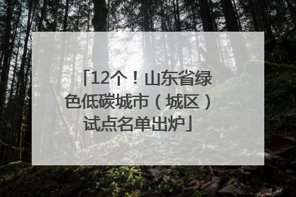12个！山东省绿色低碳城市（城区）试点名单出炉