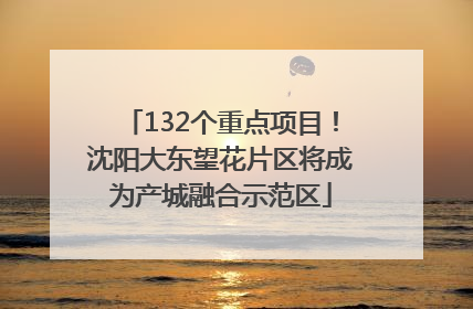 132个重点项目！沈阳大东望花片区将成为产城融合示范区
