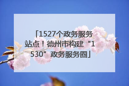 1527个政务服务站点！德州市构建“1530”政务服务圈