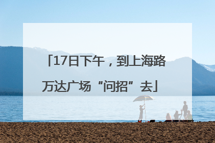 17日下午，到上海路万达广场“问招”去