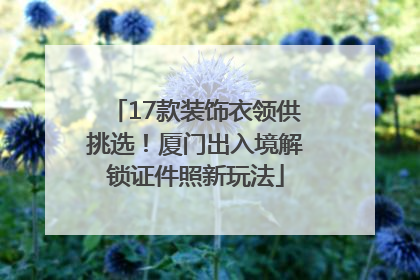 17款装饰衣领供挑选！厦门出入境解锁证件照新玩法