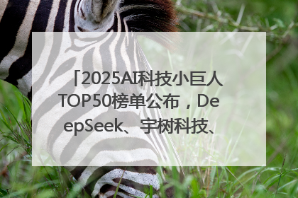 2025AI科技小巨人TOP50榜单公布，DeepSeek、宇树科技、蘑菇车联等企业荣誉上榜