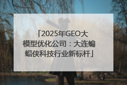 2025年GEO大模型优化公司：大连蝙蝠侠科技行业新标杆