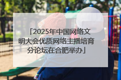 2025年中国网络文明大会优质网络主播培育分论坛在合肥举办