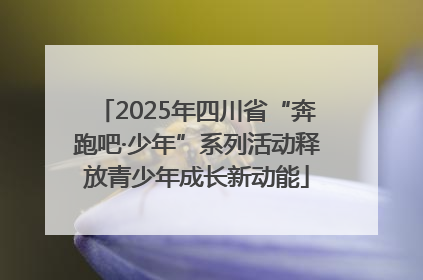 2025年四川省“奔跑吧·少年”系列活动释放青少年成长新动能