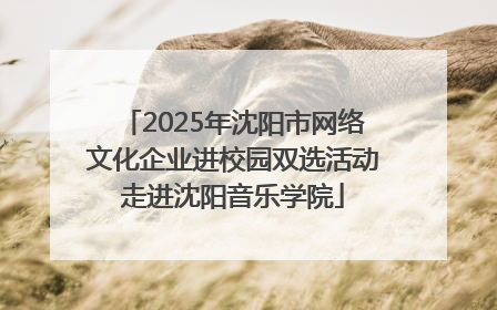 2025年沈阳市网络文化企业进校园双选活动走进沈阳音乐学院
