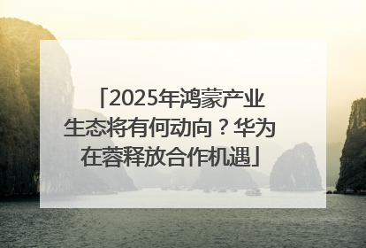 2025年鸿蒙产业生态将有何动向？华为在蓉释放合作机遇