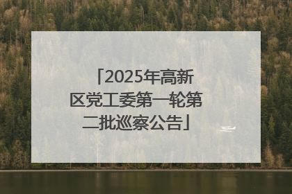 2025年高新区党工委第一轮第二批巡察公告
