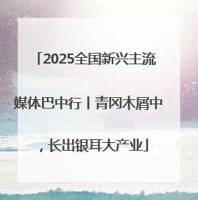2025全国新兴主流媒体巴中行丨青冈木屑中，长出银耳大产业