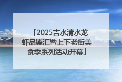 2025吉水清水龙虾品鉴汇暨上下老街美食季系列活动开幕