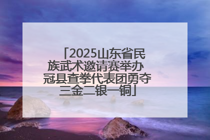 2025山东省民族武术邀请赛举办 冠县查拳代表团勇夺三金二银一铜