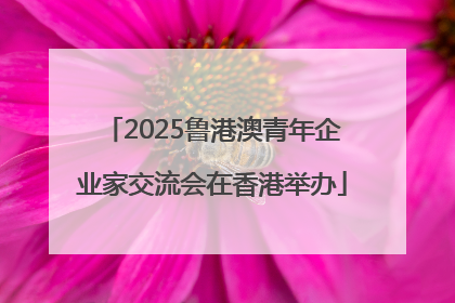 2025鲁港澳青年企业家交流会在香港举办