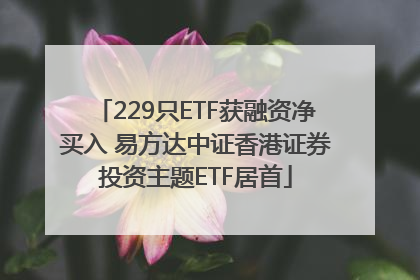 229只ETF获融资净买入 易方达中证香港证券投资主题ETF居首