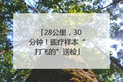 28公里，30分钟！医疗样本“打飞的”送检