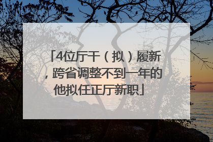 4位厅干（拟）履新，跨省调整不到一年的他拟任正厅新职