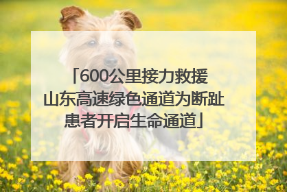 600公里接力救援 山东高速绿色通道为断趾患者开启生命通道