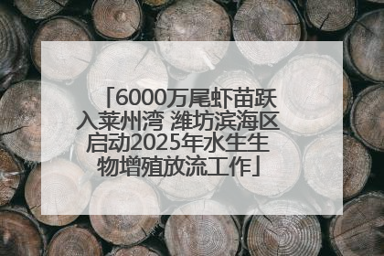 6000万尾虾苗跃入莱州湾 潍坊滨海区启动2025年水生生物增殖放流工作