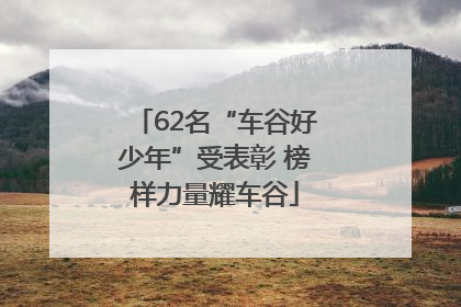 62名“车谷好少年”受表彰 榜样力量耀车谷